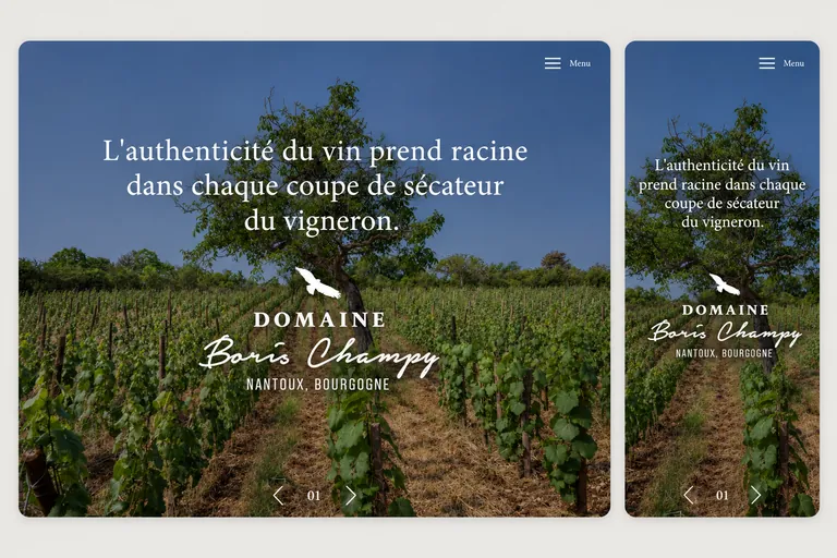 Page d'accueil du site domaineborischampy.com en version desktop et mobile — site WordPress développé par Alexis Catanas